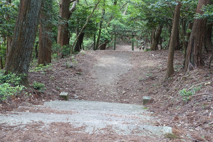 金毘羅神社・牛松山　No48