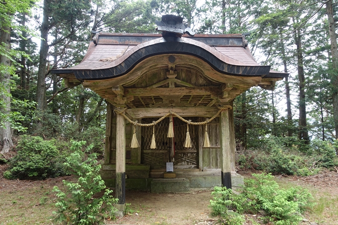 金毘羅神社・牛松山　No50