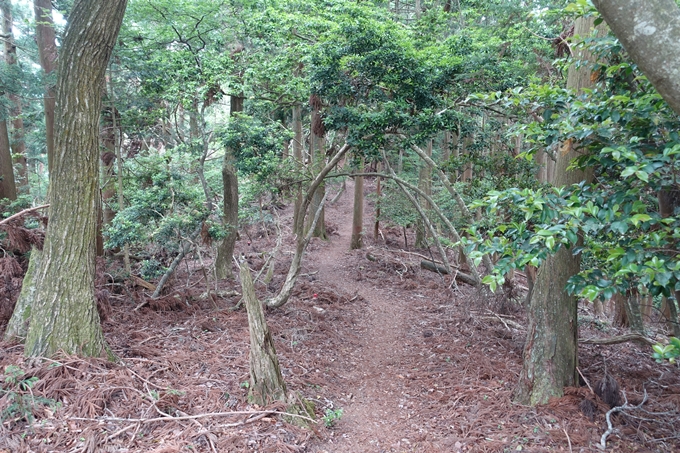 金毘羅神社・牛松山　No54