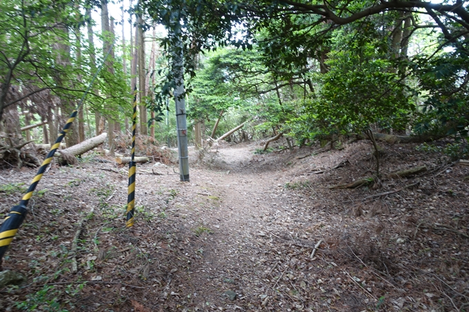 金毘羅神社・牛松山　No55