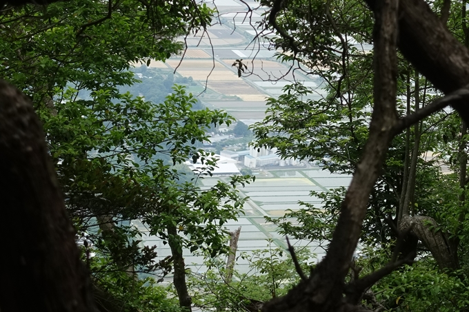 金毘羅神社・牛松山　No56