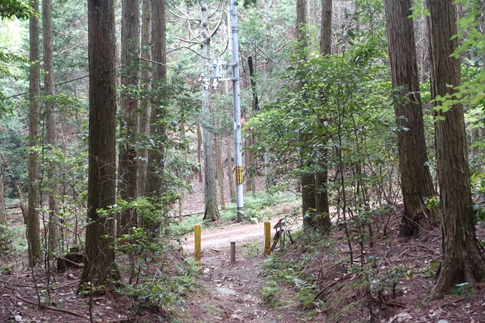 金毘羅神社・牛松山　No59