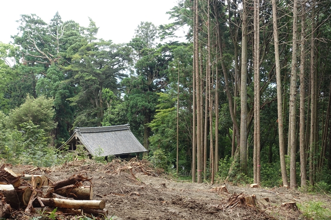 金毘羅神社・牛松山　No60