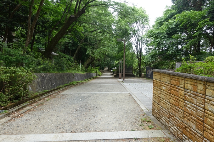 金毘羅神社・牛松山　No61