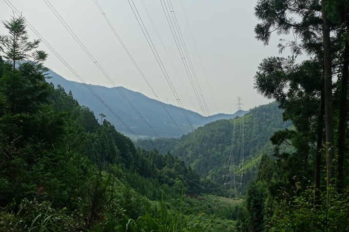 西向宝庫地蔵尊_反射板　No29