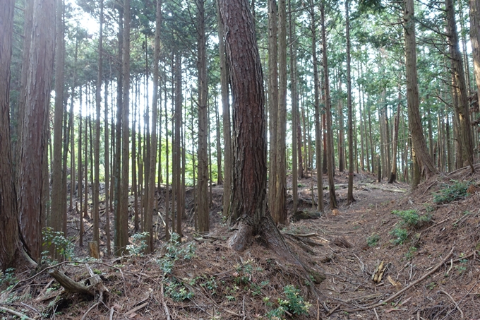 西向宝庫地蔵尊_反射板　No42