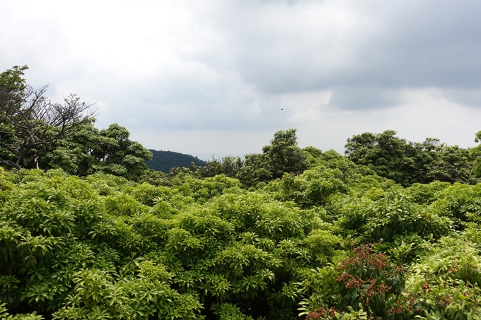 西向宝庫地蔵尊_反射板　No74