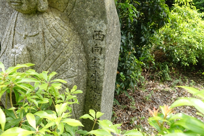 西向宝庫地蔵尊_反射板　No78