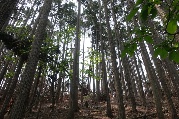 西向宝庫地蔵尊_反射板　No101