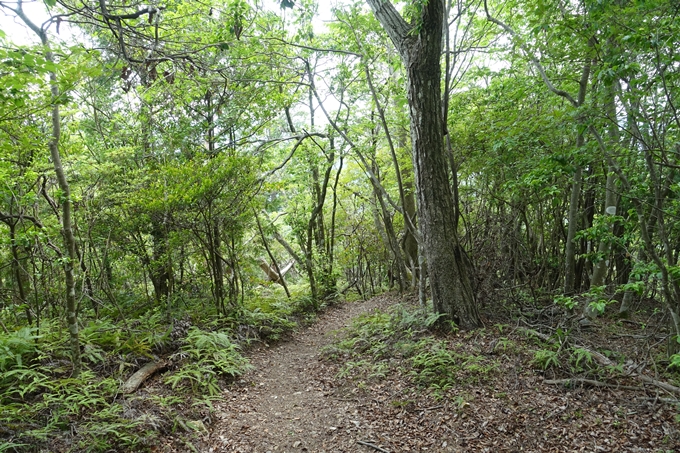 西向宝庫地蔵尊_反射板　No151