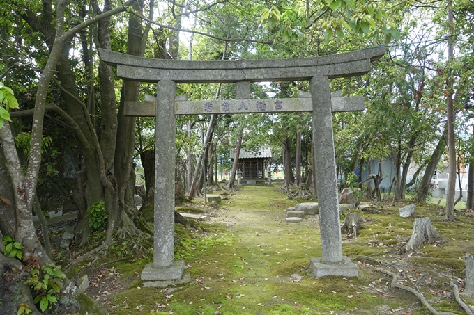 若宮八幡宮_亀岡市大井町　No5