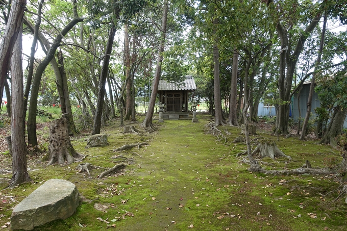 若宮八幡宮_亀岡市大井町　No7