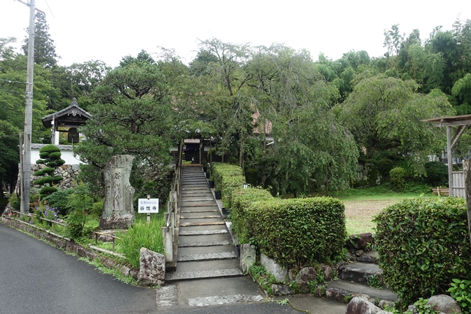 谷性寺　No5