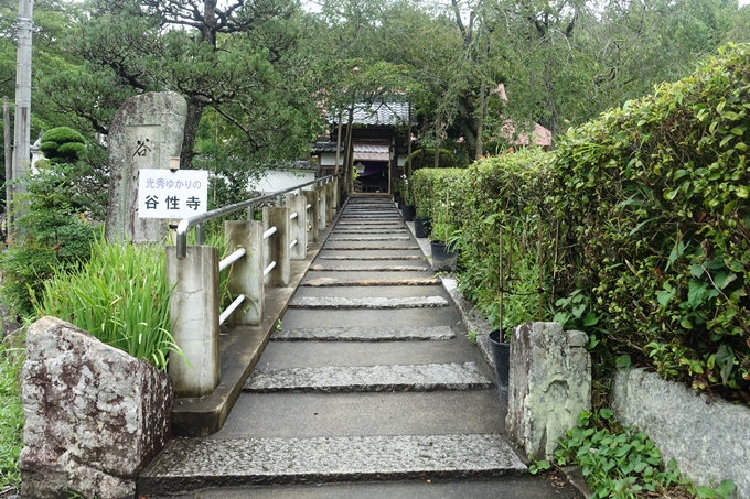 谷性寺　No8