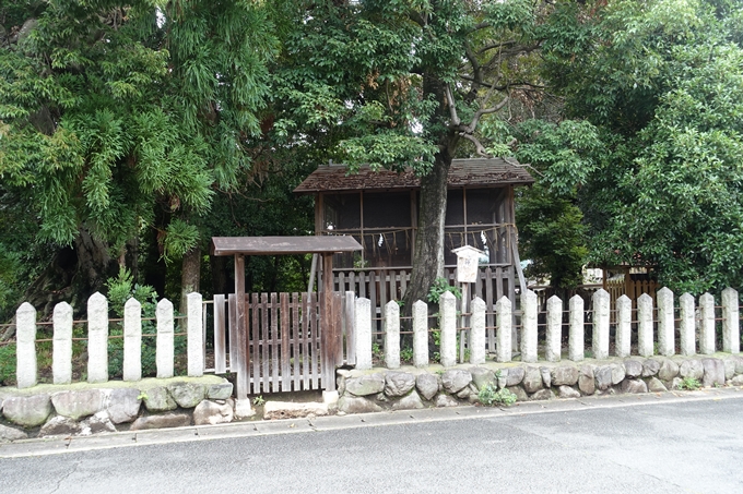 川上大神宮社　No3