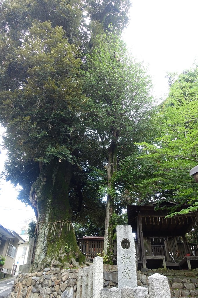 川上大神宮社　No21