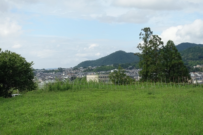 柊野_堰堤_庄田橋　No2