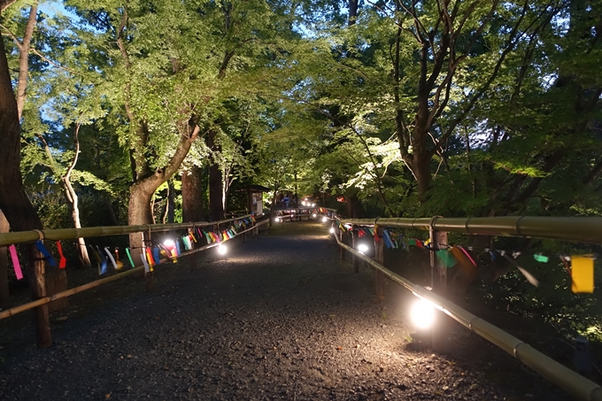 京の七夕_2019_北野天満宮　No16