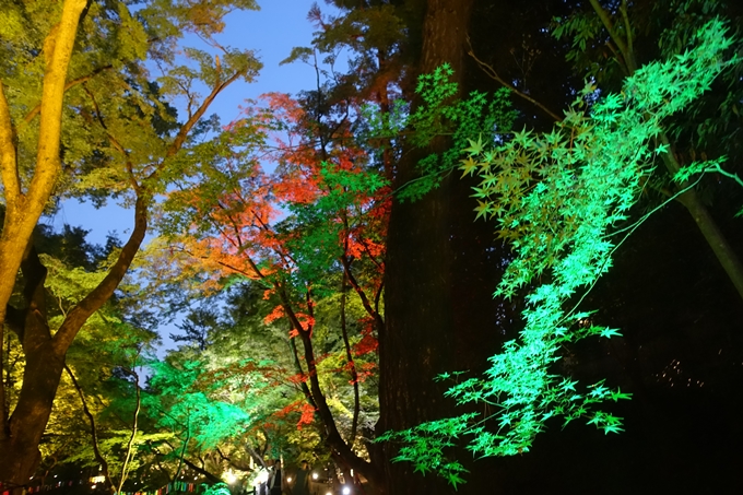 京の七夕_2019_北野天満宮　No25