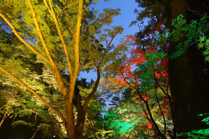 京の七夕_2019_北野天満宮　No27