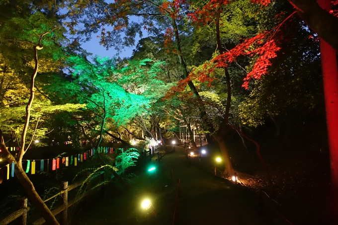 京の七夕_2019_北野天満宮　No28