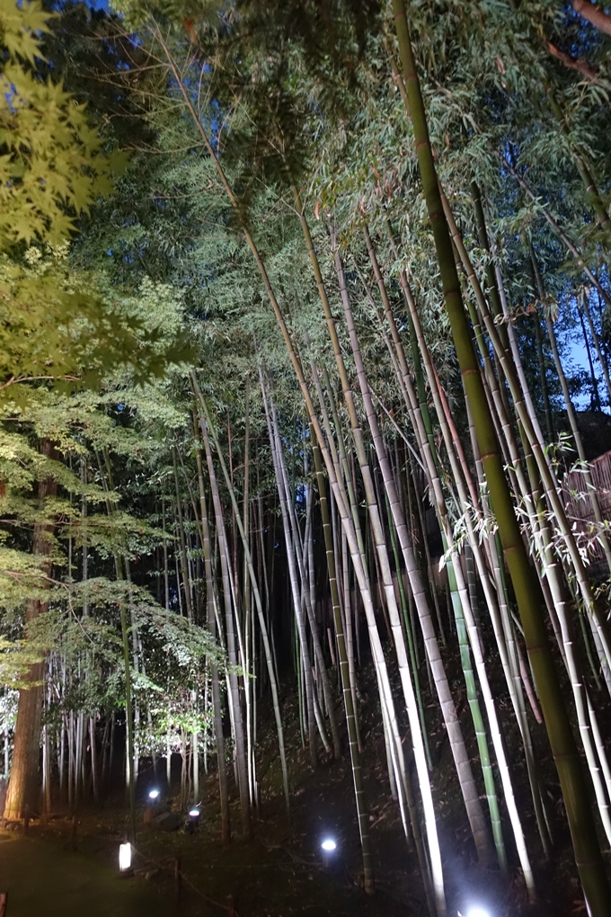 京の七夕_2019_北野天満宮　No30