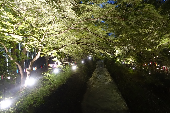 京の七夕_2019_北野天満宮　No31