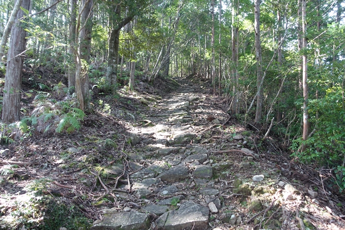 番外編_奈良_十津川_果無集落　No27