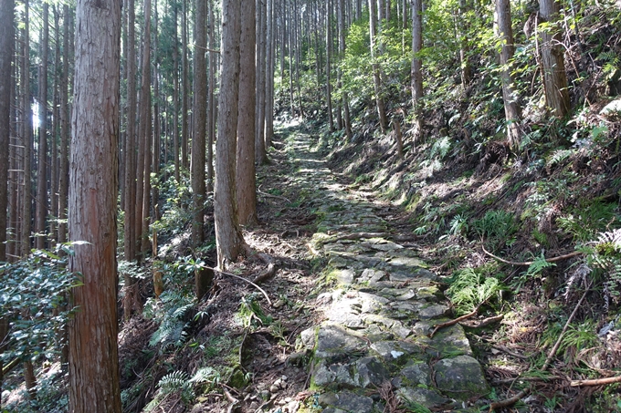 番外編_奈良_十津川_果無集落　No28