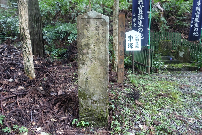 番外編_和歌山_湯の峰温泉　No31