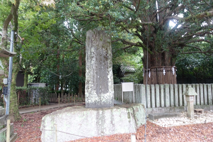 番外編_和歌山_速玉神社　No9