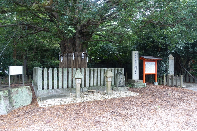 番外編_和歌山_速玉神社　No10