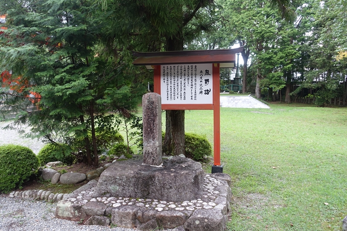 番外編_和歌山_速玉神社　No48