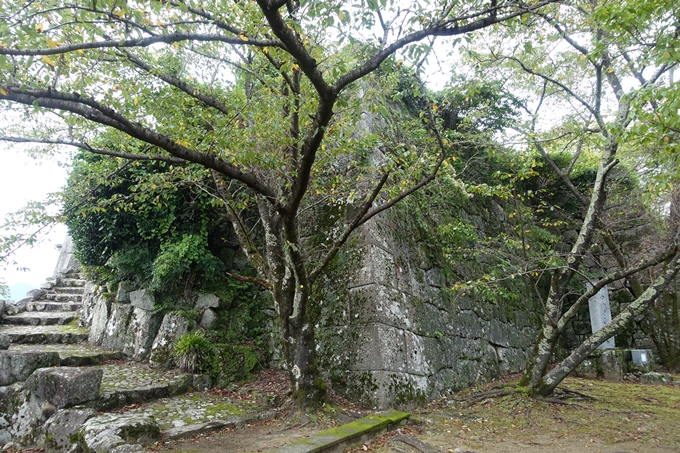 番外編_和歌山_速玉神社　No68