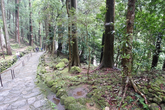 番外編_和歌山_那智大社　No10