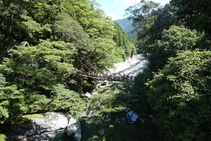 番外編_徳島　祖谷のかずら橋　No16