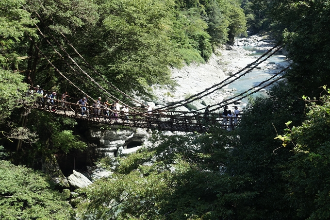 番外編_徳島　祖谷のかずら橋　No17