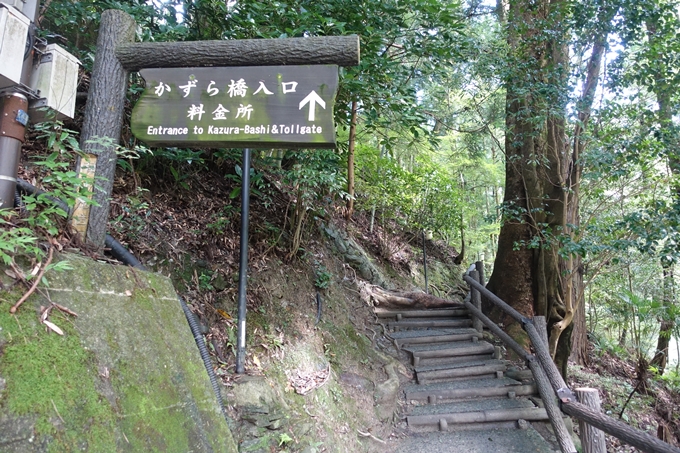 番外編_徳島　祖谷のかずら橋　No20