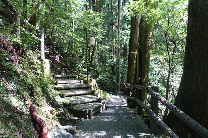 番外編_徳島　祖谷のかずら橋　No21