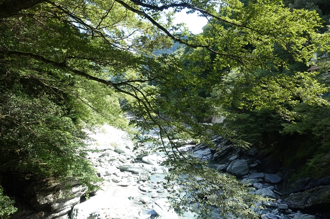 番外編_徳島　祖谷のかずら橋　No31