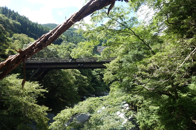 番外編_徳島　祖谷のかずら橋　No32