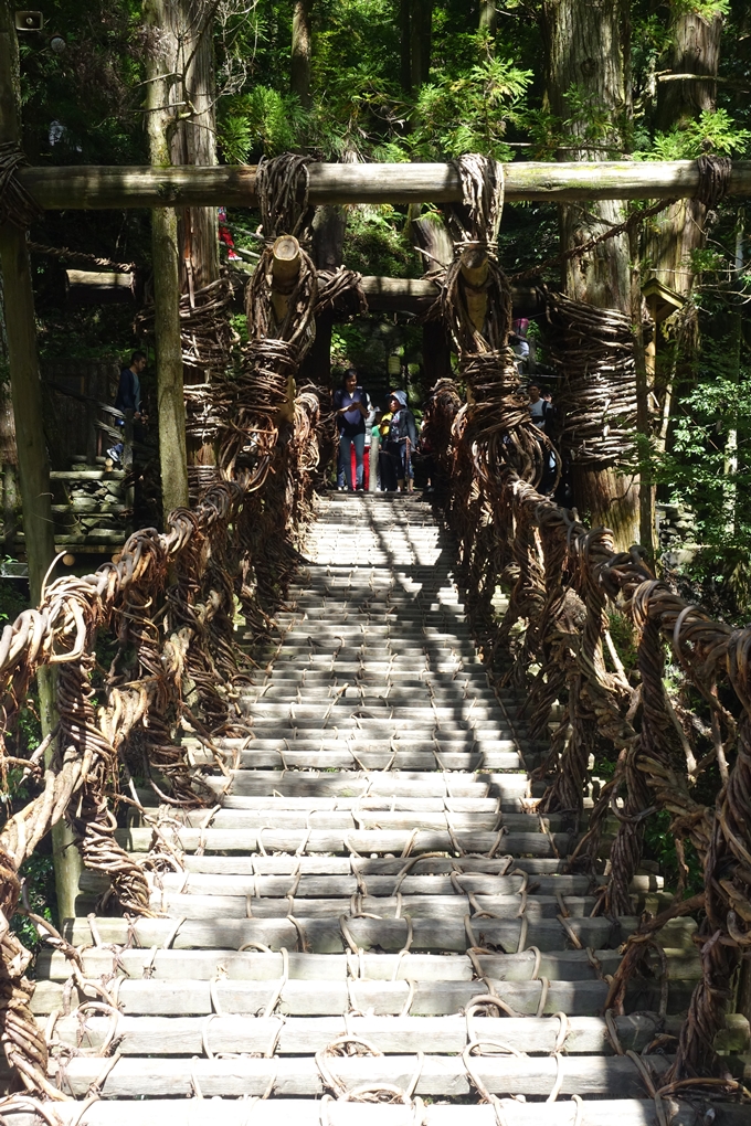 番外編_徳島　祖谷のかずら橋　No33