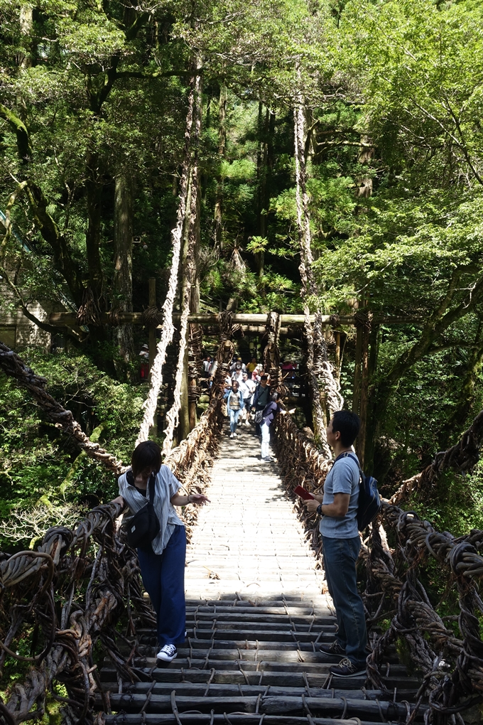 番外編_徳島　祖谷のかずら橋　No36