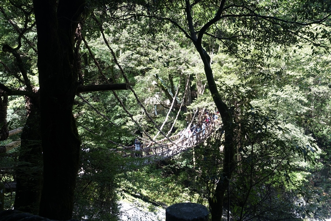 番外編_徳島　祖谷のかずら橋　No39