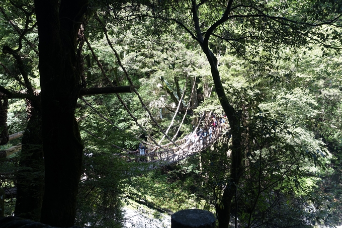 番外編_徳島　祖谷のかずら橋　No39