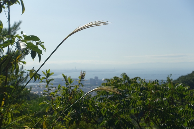 番外編_兵庫_六甲山　No29