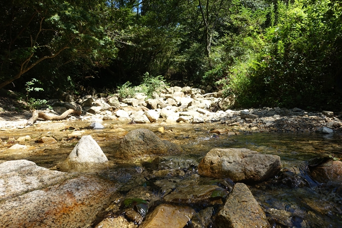 番外編_兵庫_六甲山　No84