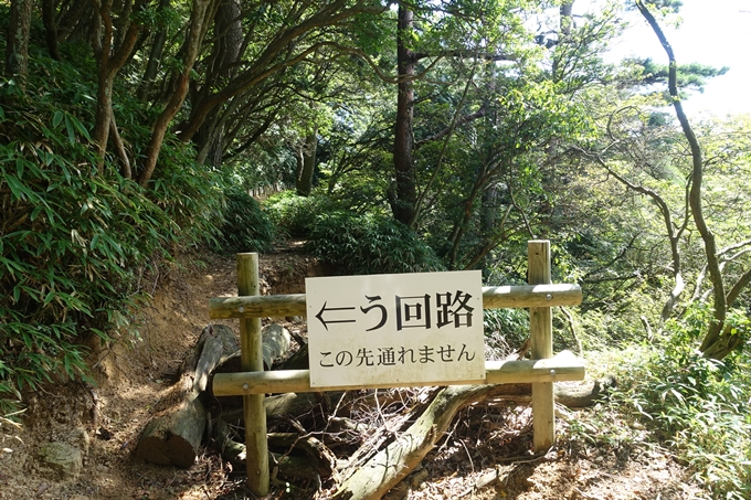 番外編_兵庫_六甲山　No115