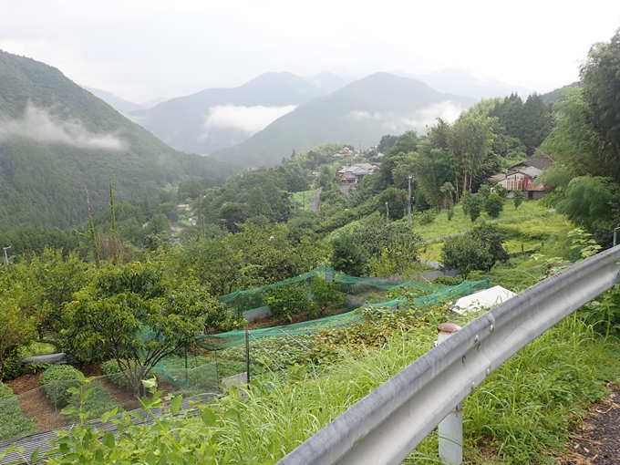 番外編_和歌山_熊野古道_伏拝王子　No16