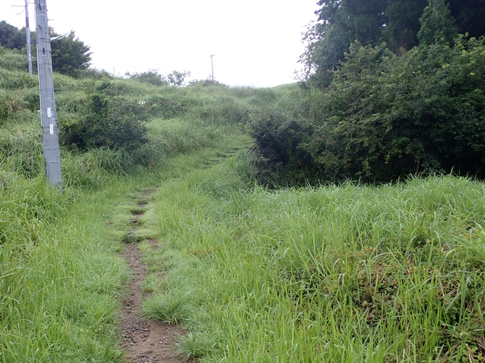 番外編_和歌山_熊野古道_伏拝王子　No26